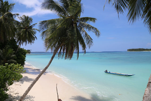 NYANG - NYANG & PLAY GROUND CAMP Mentawai islands with my surf camp in siberut islands close wave like e'bay, beng-beng, nipussi, pitstop just onfoot,